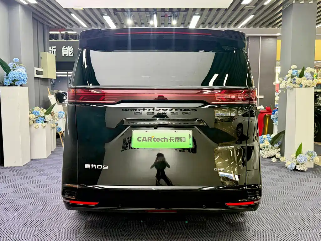 Denza Denza D9 — миниатюра 14