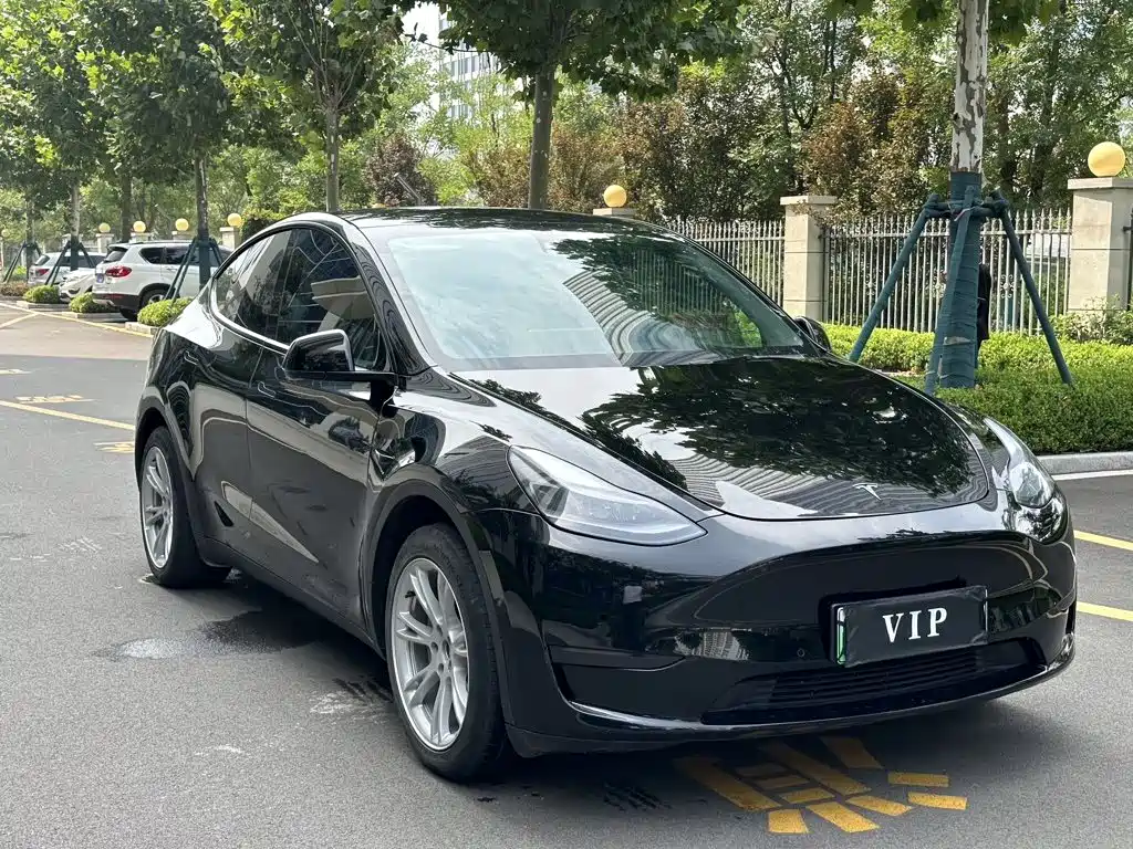 Tesla Model Y — миниатюра 3