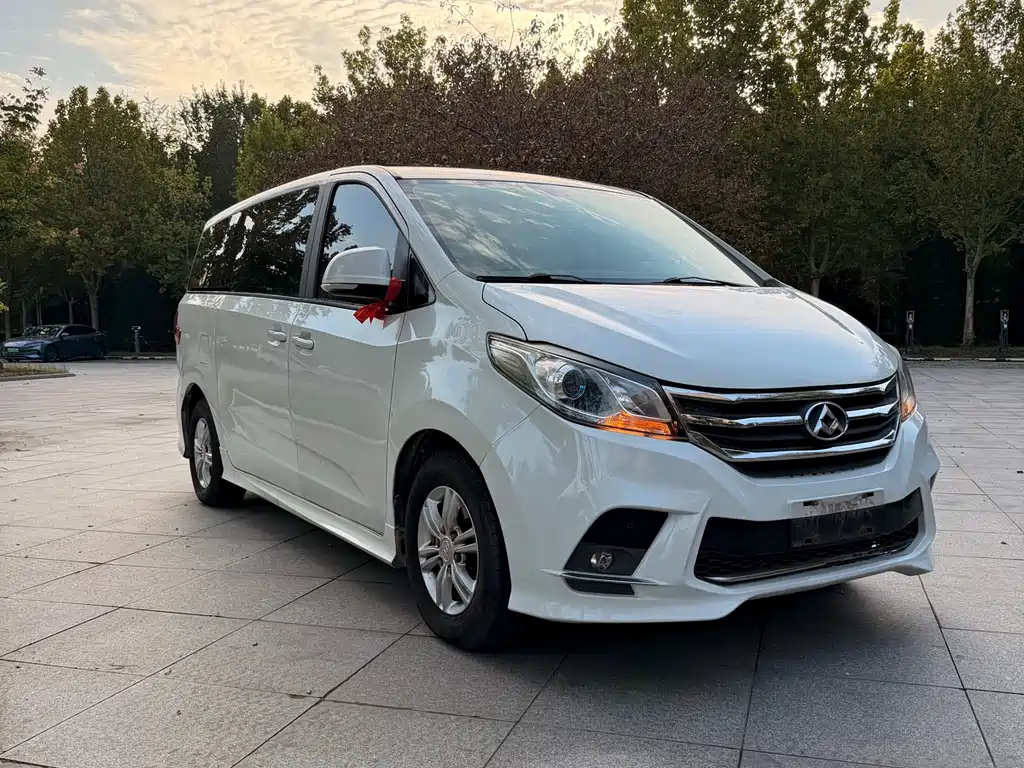 SAIC MAXUS CHASE G10