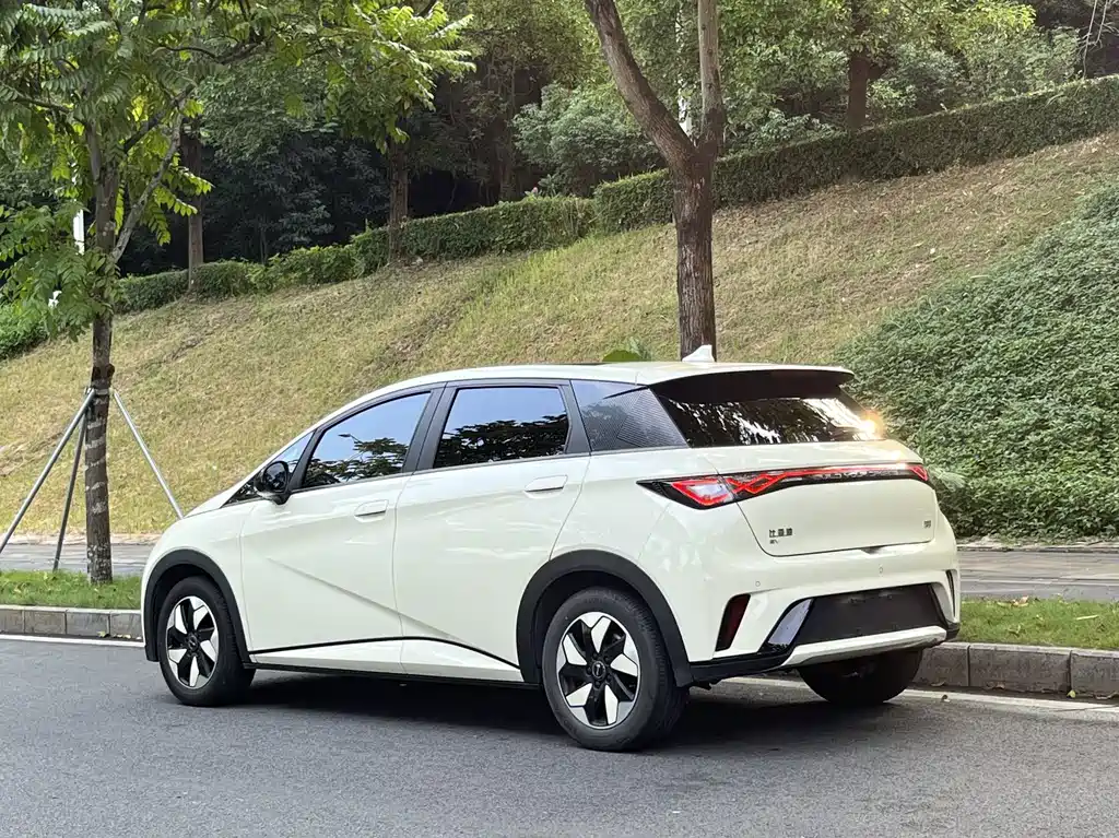 BYD Dolphin — миниатюра 6