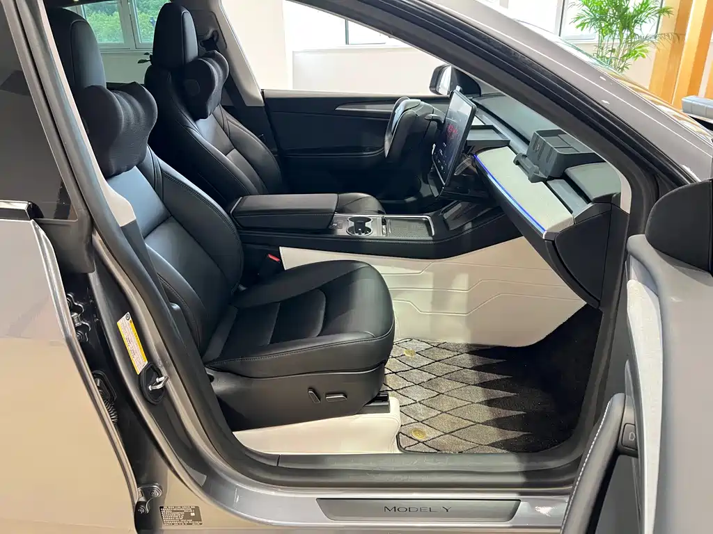 Tesla Model Y — миниатюра 10