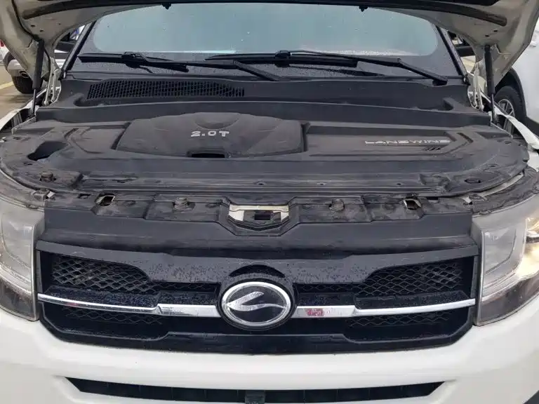 Landwind Landwind X7 — миниатюра 20