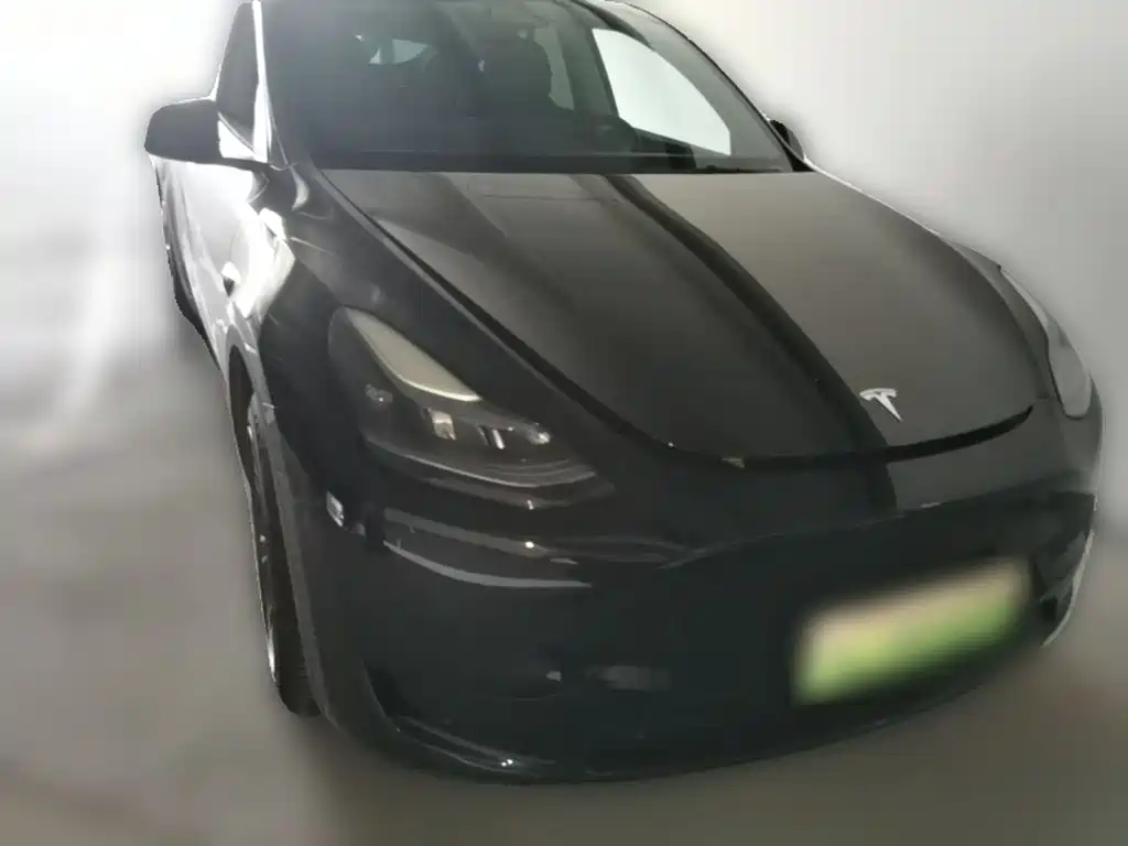 Tesla Model Y — миниатюра 6
