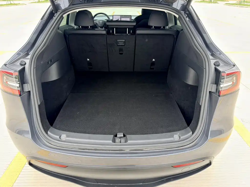 Tesla Model Y — миниатюра 21