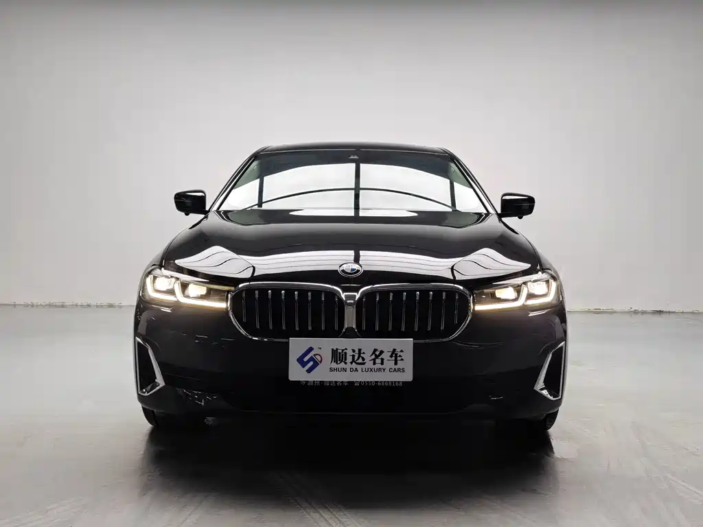 BMW 5 Series 5 2022 530Li Lead Luxury