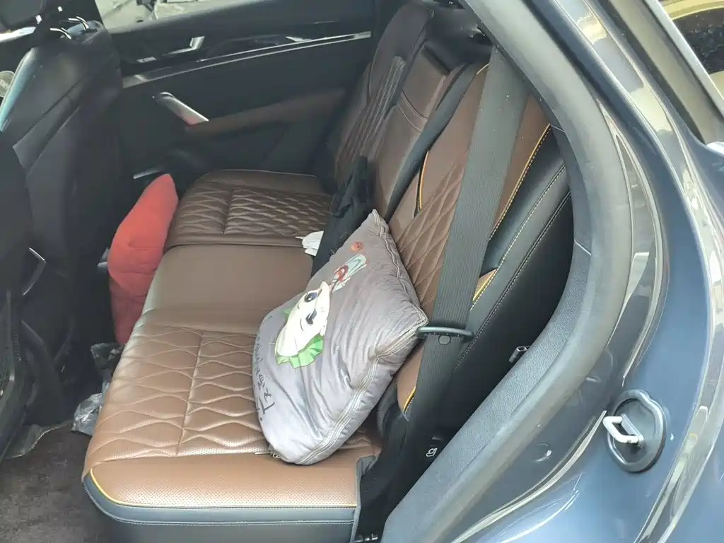 BYD Tang New Energy — миниатюра 18
