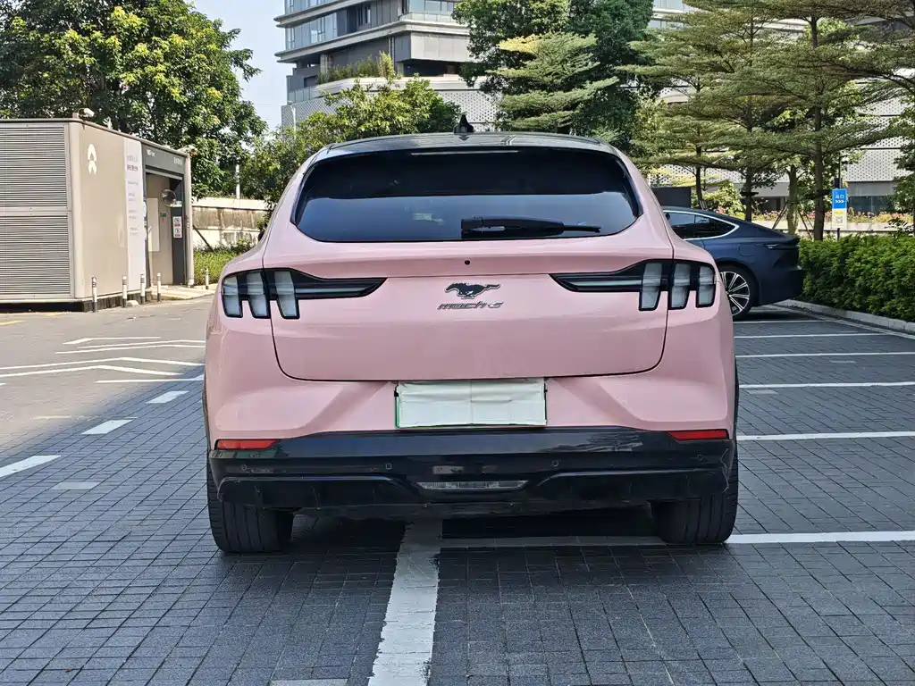 Ford Mustang Mach-E — миниатюра 3