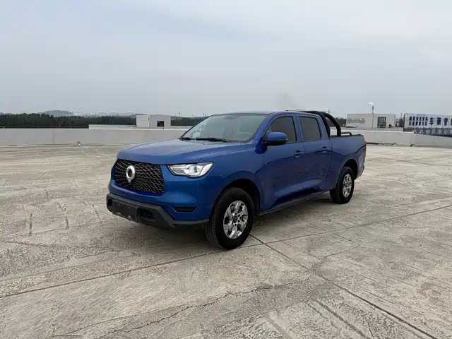 GREAT WALL CANNON 2021