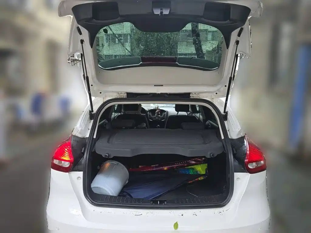 Ford Focus — миниатюра 20