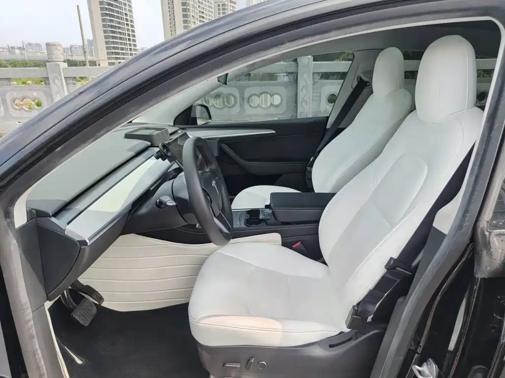 Tesla Model Y — миниатюра 12