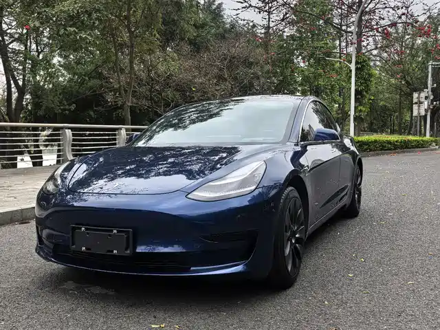 TESLA MODEL 3 2020