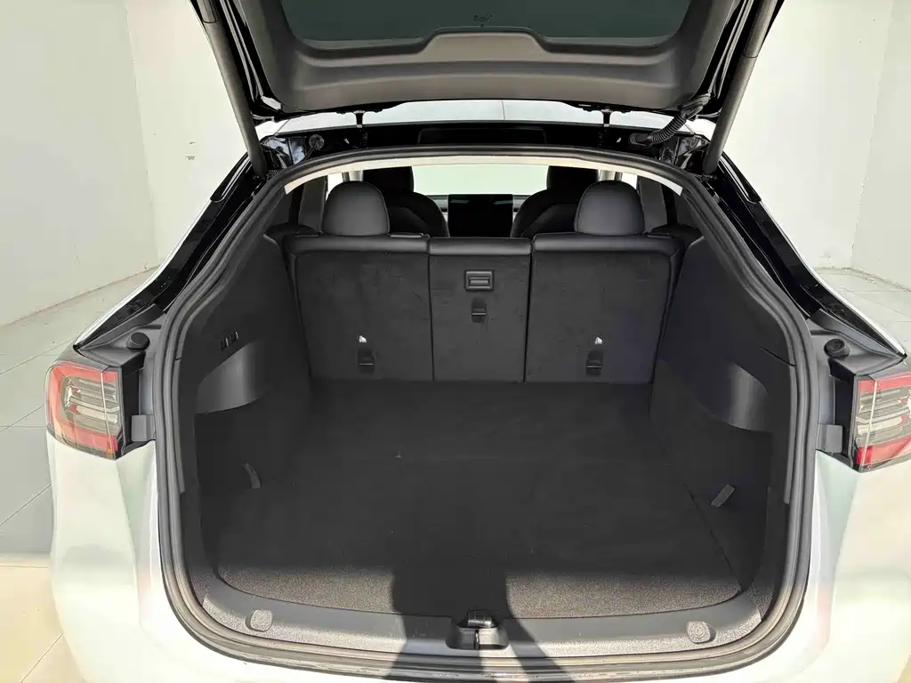 Tesla Model Y — миниатюра 10