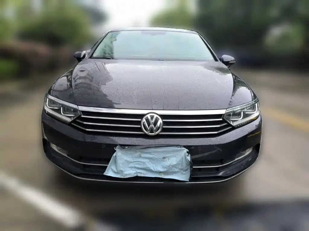 Volkswagen Magotan — миниатюра 2