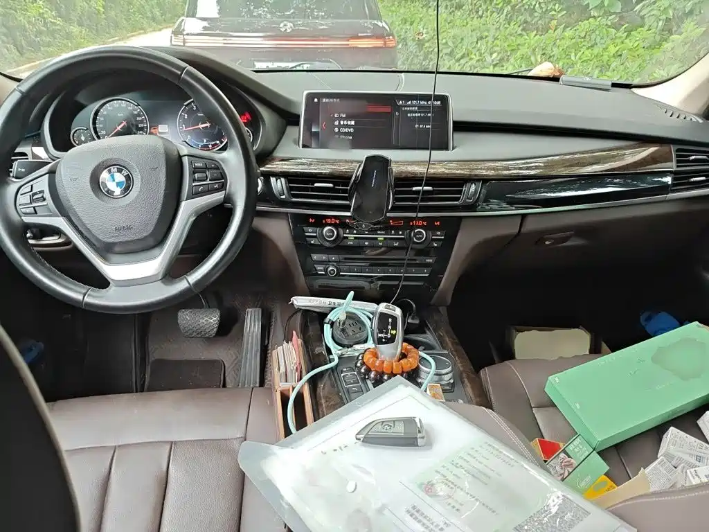 BMW X5 (Import) — миниатюра 10