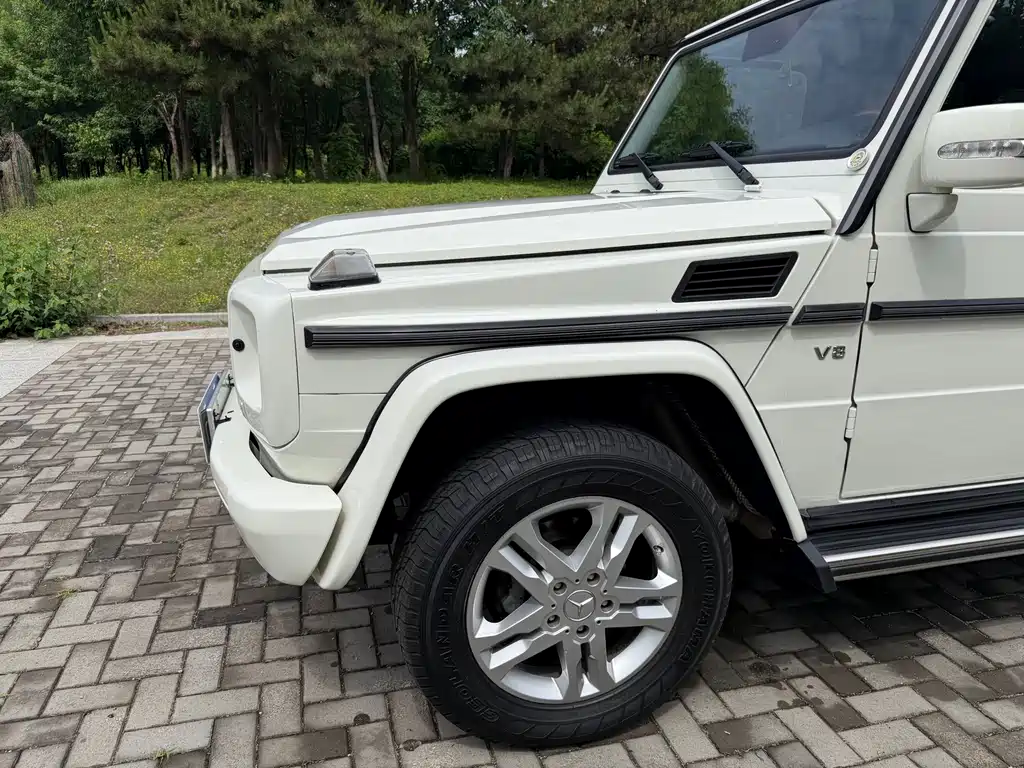 Mercedes-Benz G-Class G 2010 G 500