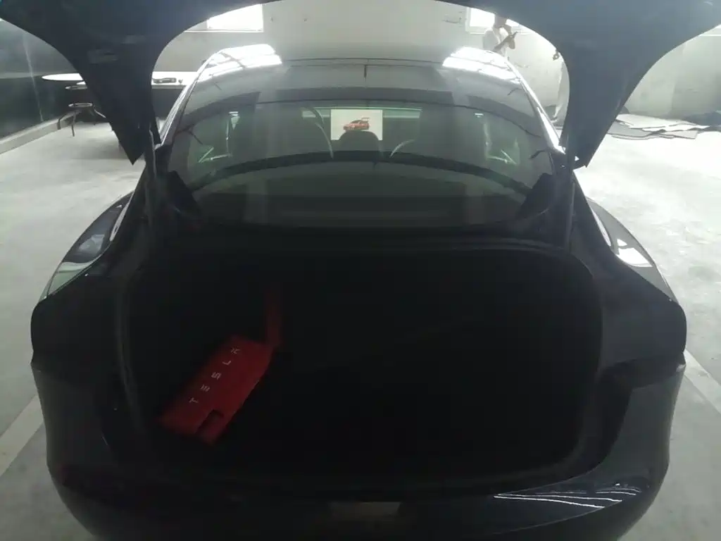 Tesla Model 3 — миниатюра 19