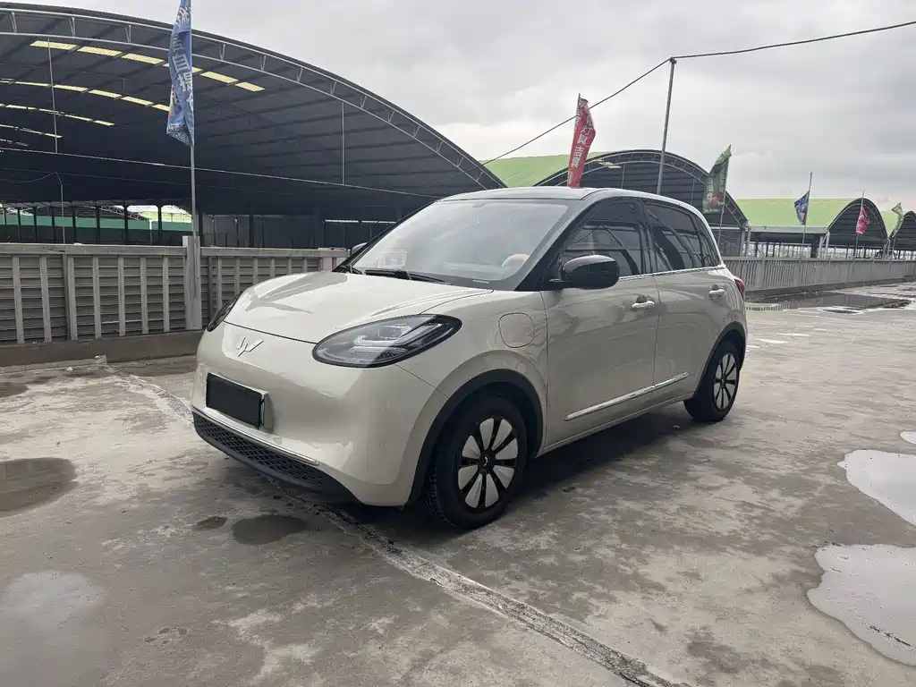 Wuling Bingo