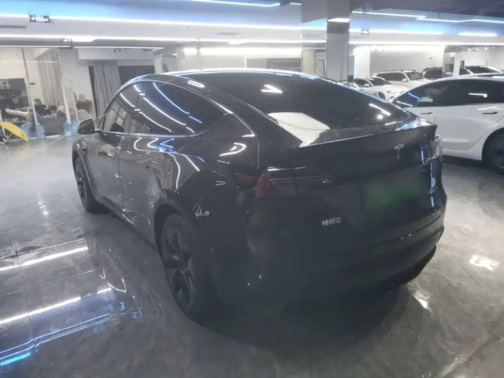Tesla Model Y — миниатюра 5