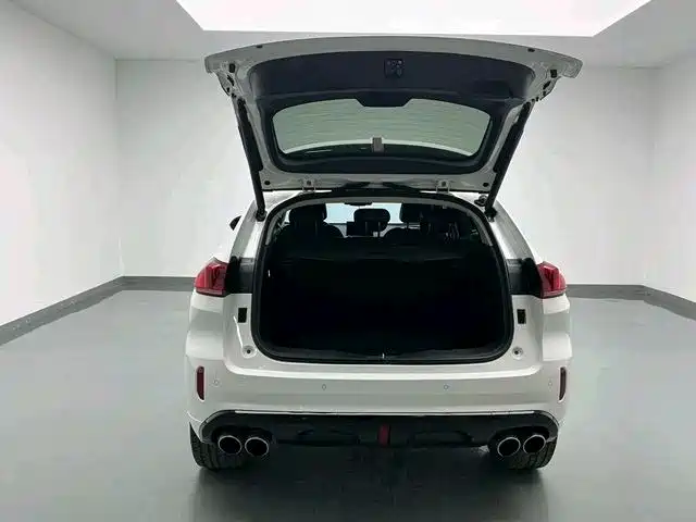 WEI PAI WEI BRAND VV5