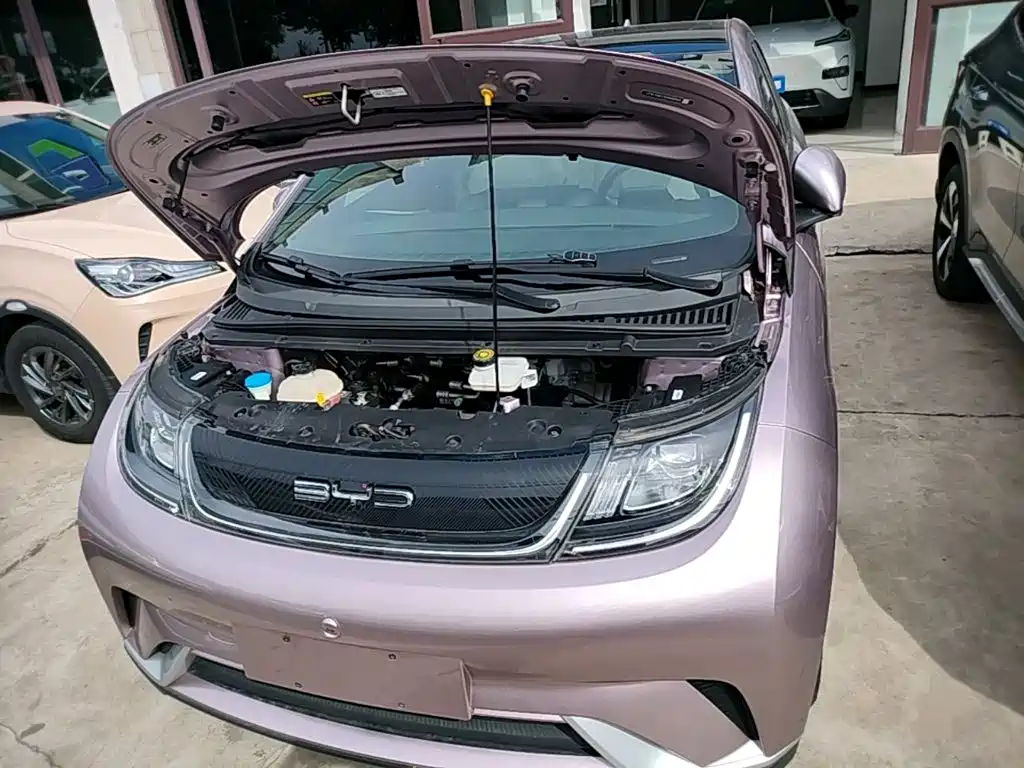 BYD Dolphin — миниатюра 20