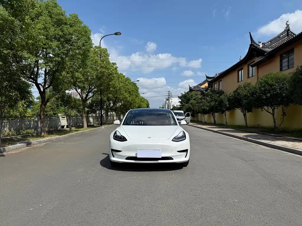 Tesla Model 3 — миниатюра 2