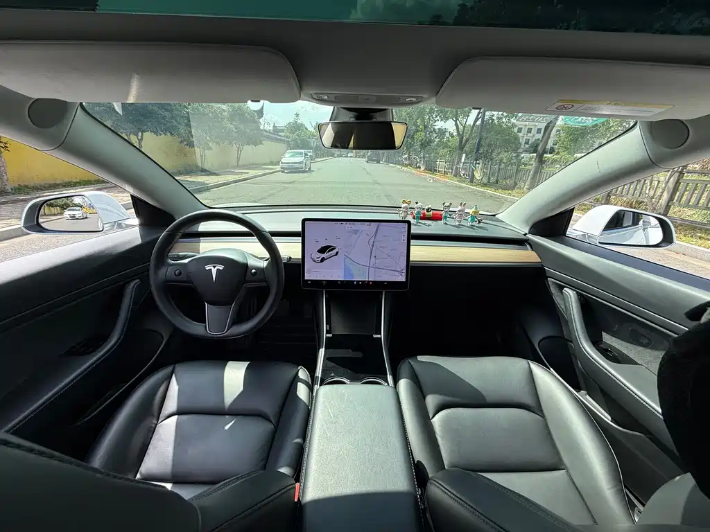 Tesla Model 3 — миниатюра 15