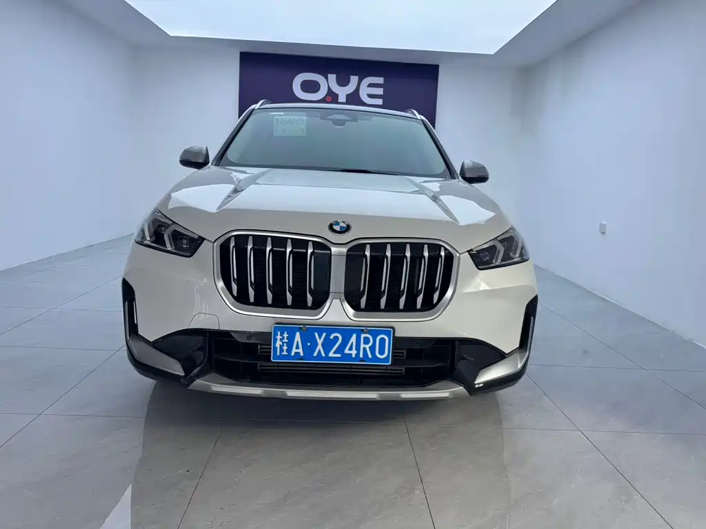 BMW X1 — миниатюра 2