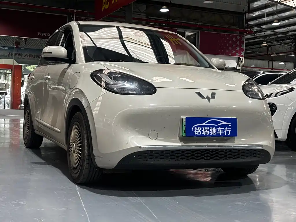 Wuling Binguo 2023 333km
