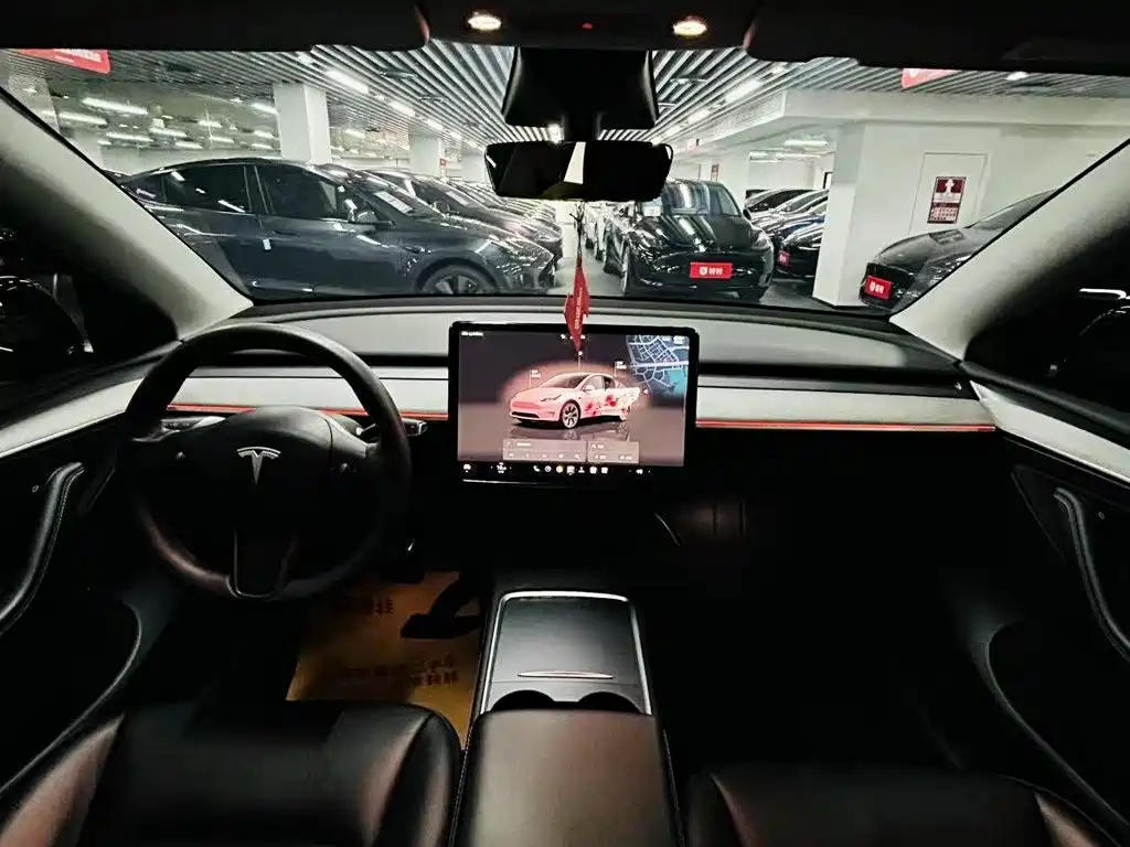 Tesla Model Y — миниатюра 8