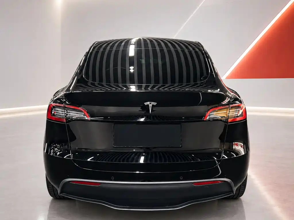 Tesla Model Y — миниатюра 5