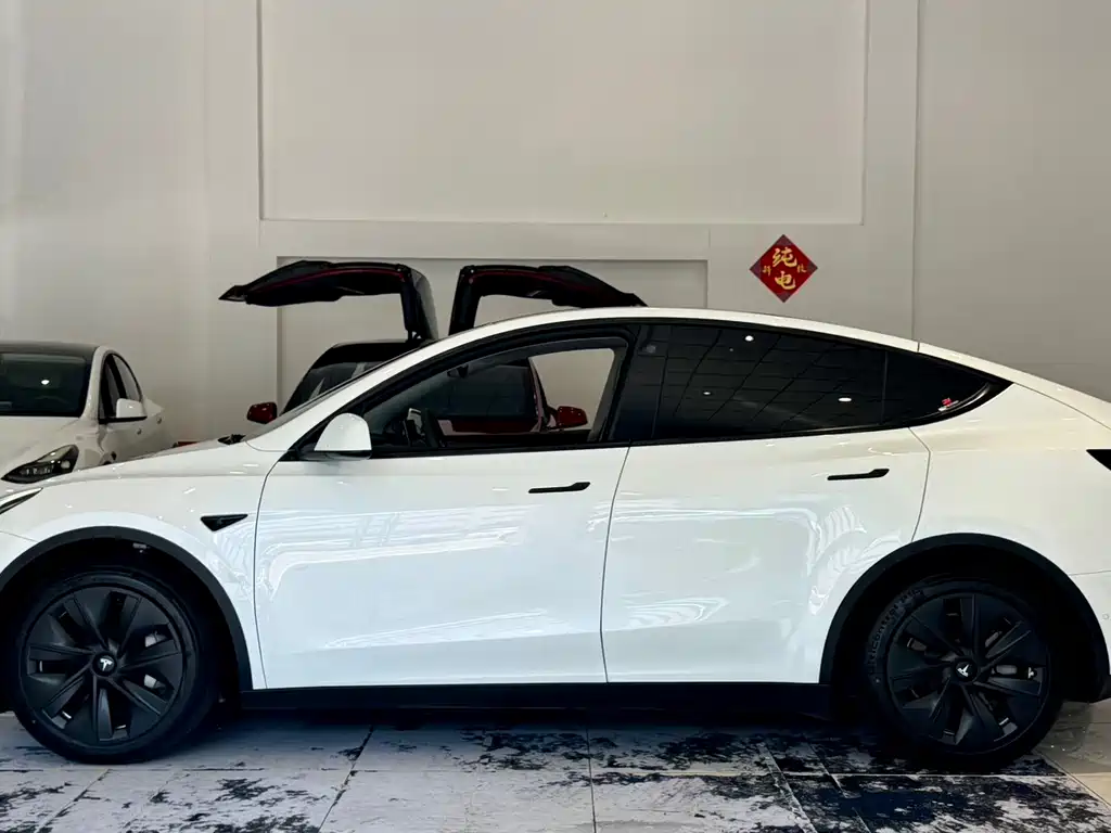 Tesla Model Y — миниатюра 7