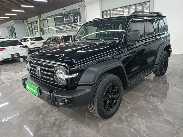 2023 TANK 300