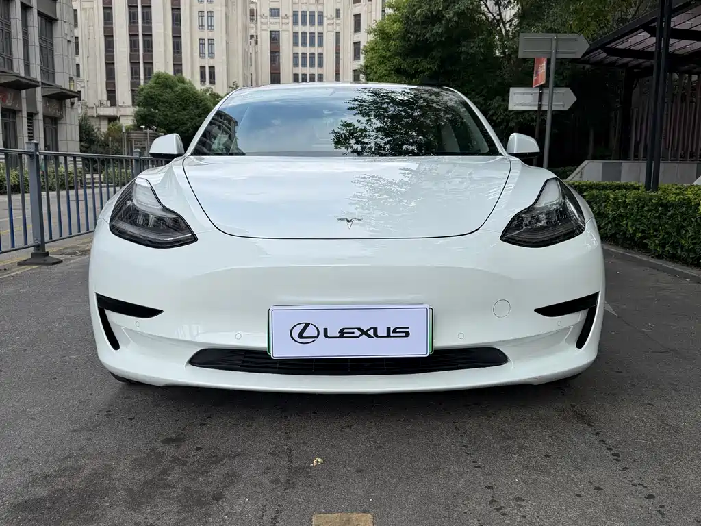 Tesla Model 3 — миниатюра 3