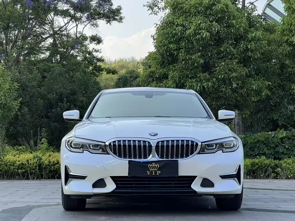 BMW 3 Series 3 2020 325Li