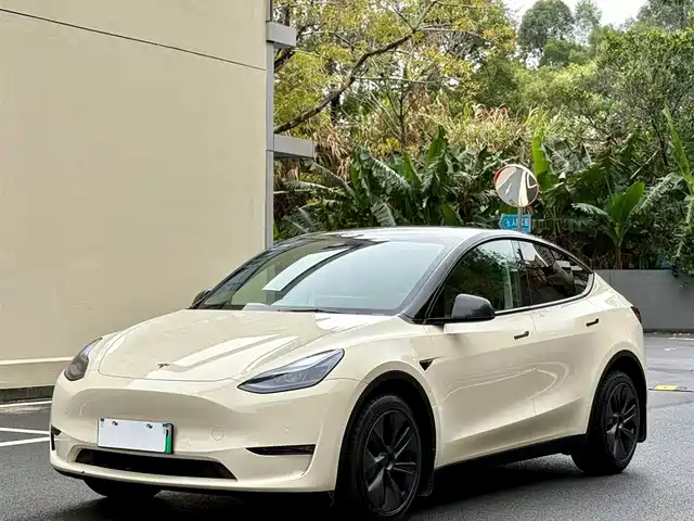 TESLA MODEL Y 2024
