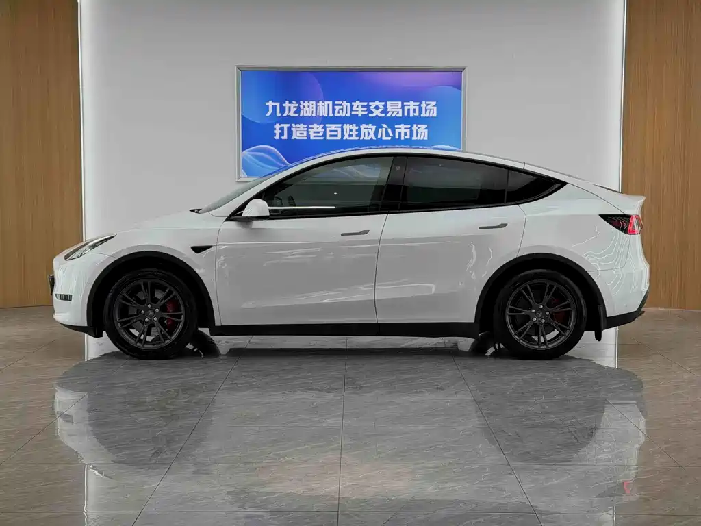 Tesla Model Y — миниатюра 4
