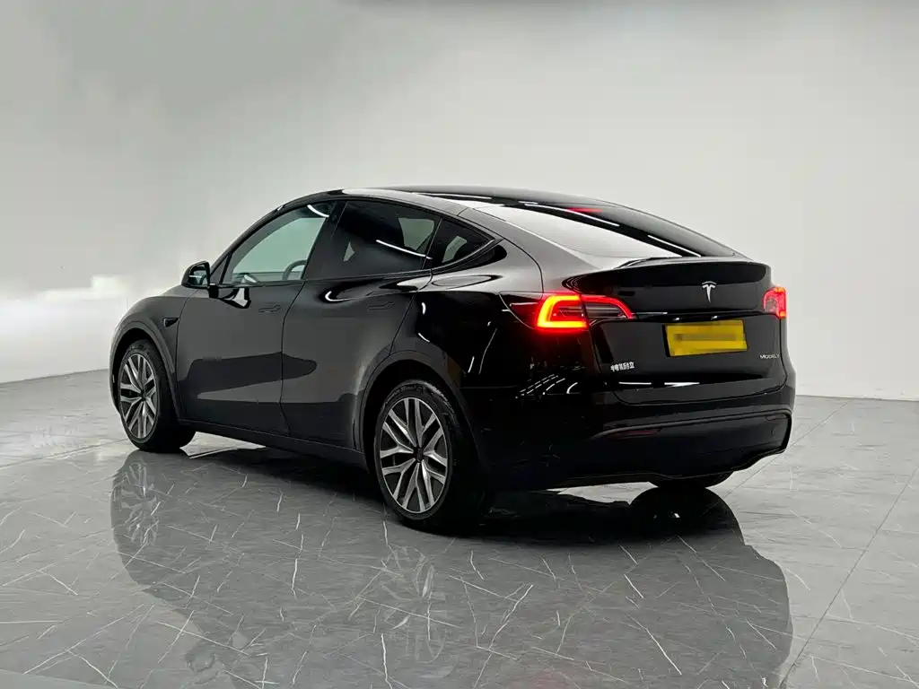 Tesla Model Y — миниатюра 4