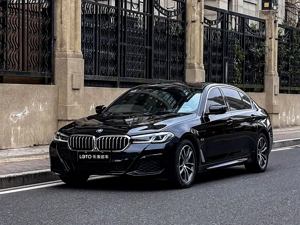 BMW 5 Series New Energy 2023