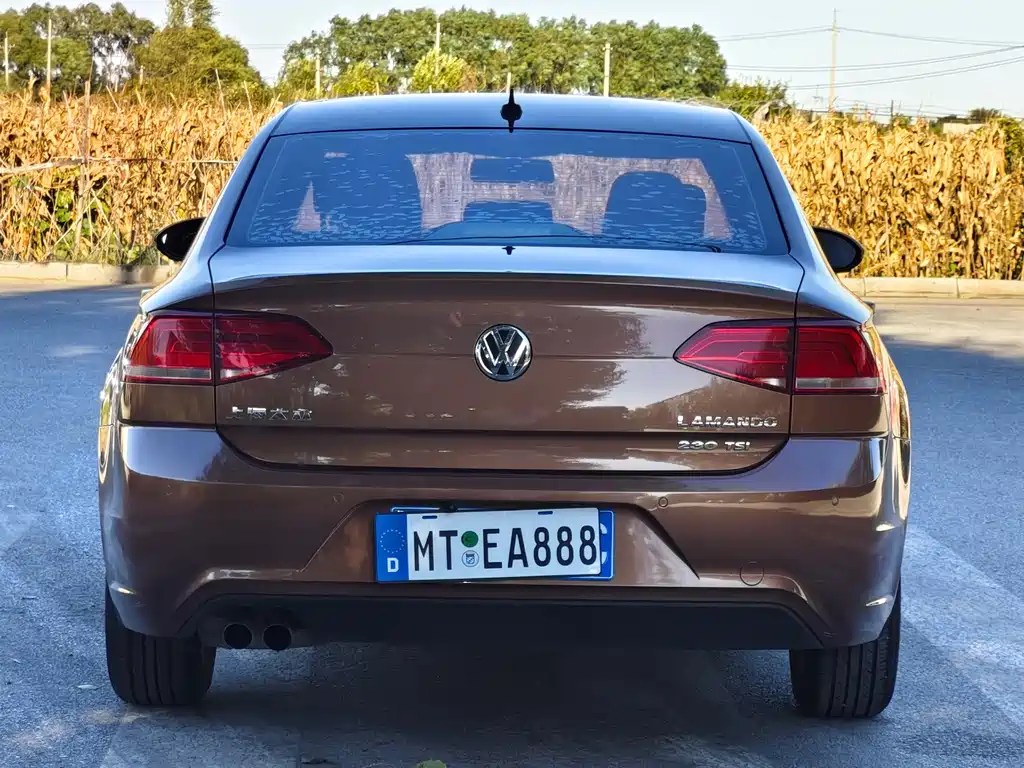 Volkswagen Lamando — миниатюра 8