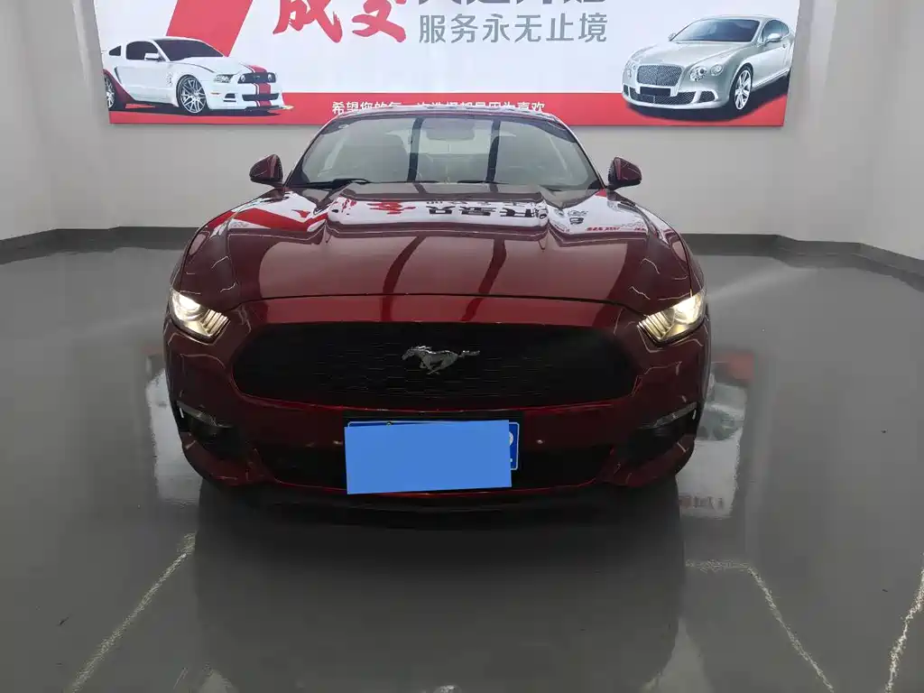 Ford Mustang — миниатюра 2