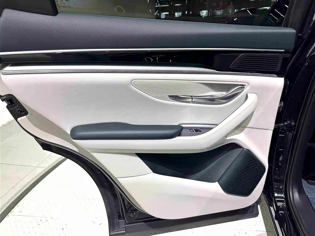 BYD PLUS New Energy — миниатюра 24