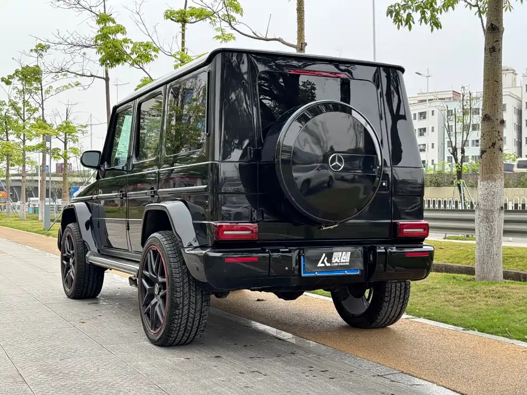 Mercedes-Benz G-Class G 2010 G 500