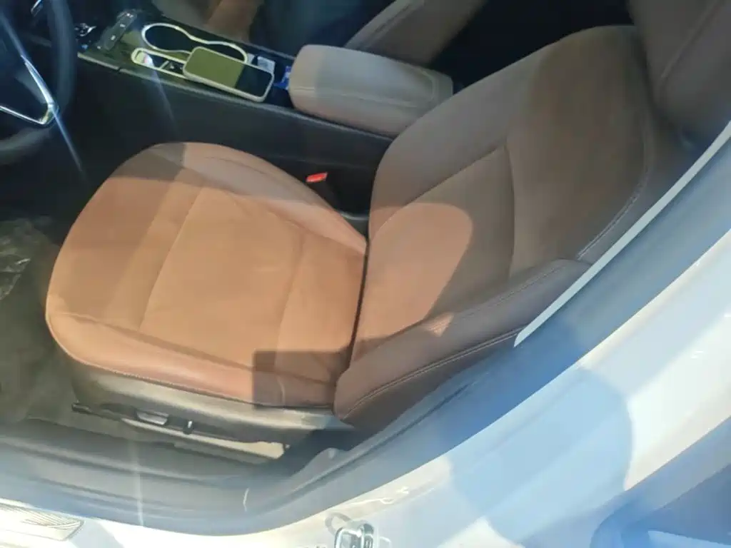 Buick Regal — миниатюра 15