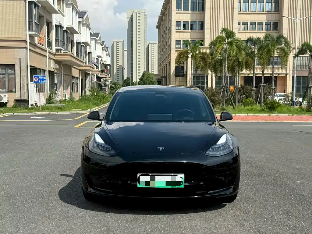 Tesla Model 3 — миниатюра 2