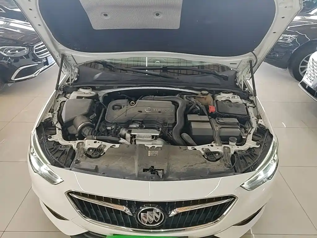 Buick Regal — миниатюра 10