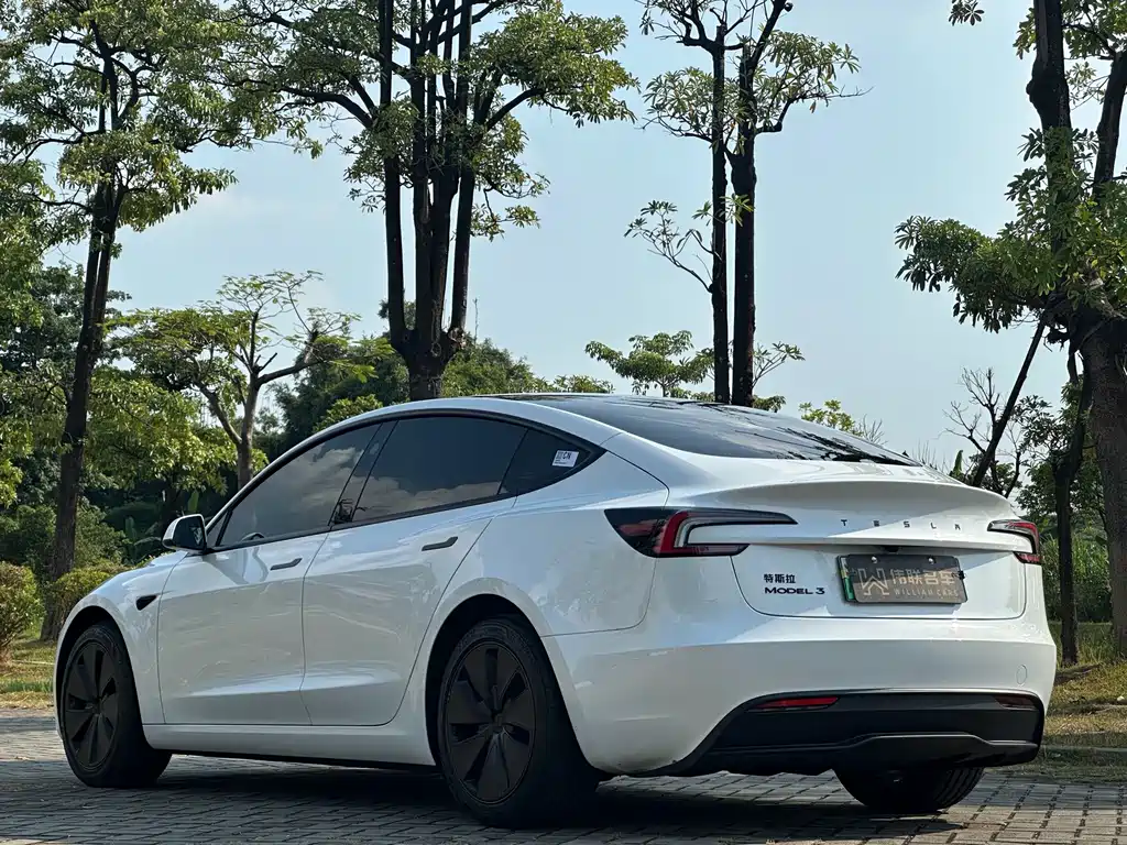 Tesla Model 3 — миниатюра 4