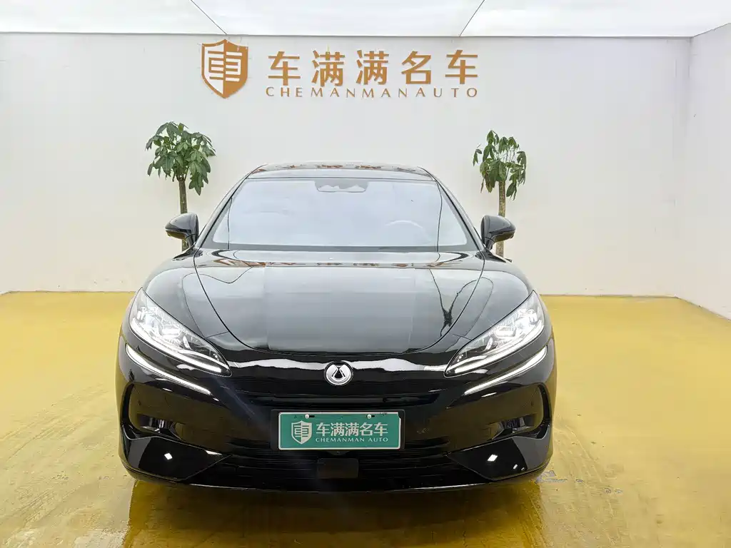 Denza Denza Z9 — миниатюра 2