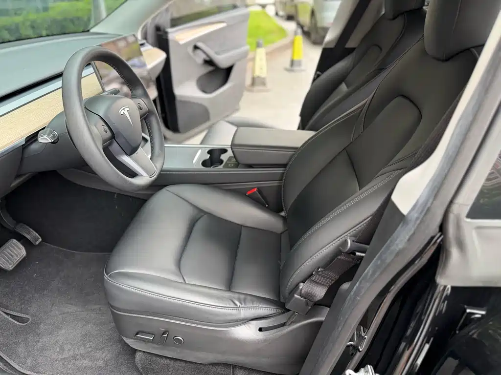 Tesla Model Y — миниатюра 7