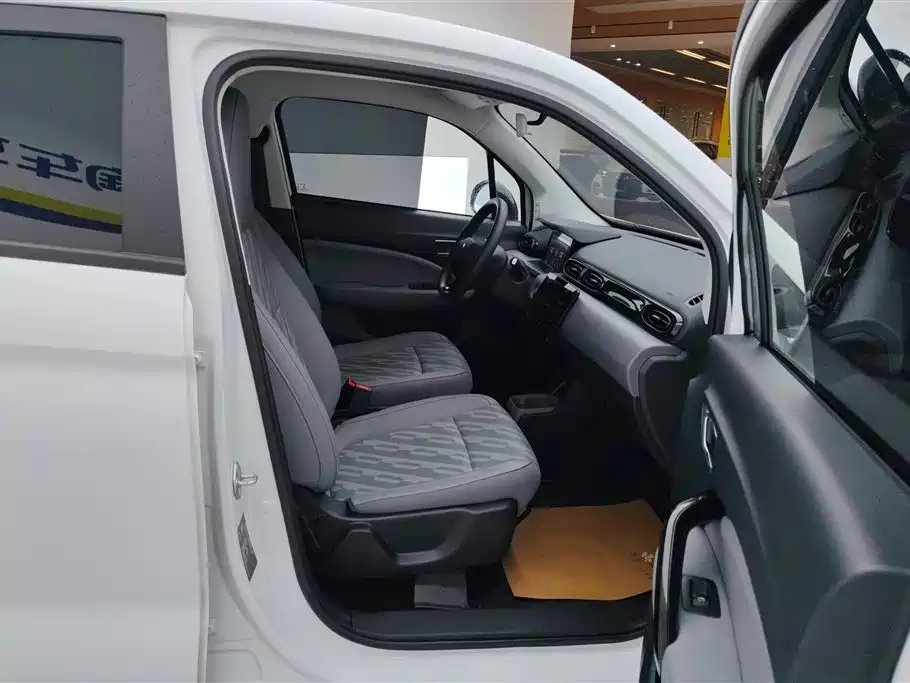 Leapmotor T03 2025 310