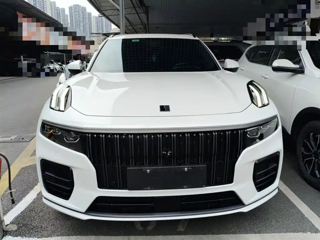 Lynk & Co 09 EM-P 2021 2.0T PHEV Halo мест